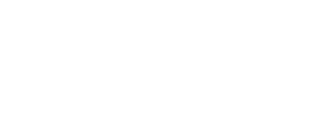 VFP Logo